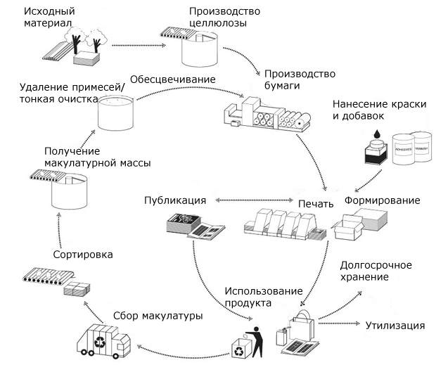 Схема процесса переработки макулатуры в общем цикле производства и потребления бумажной продукции